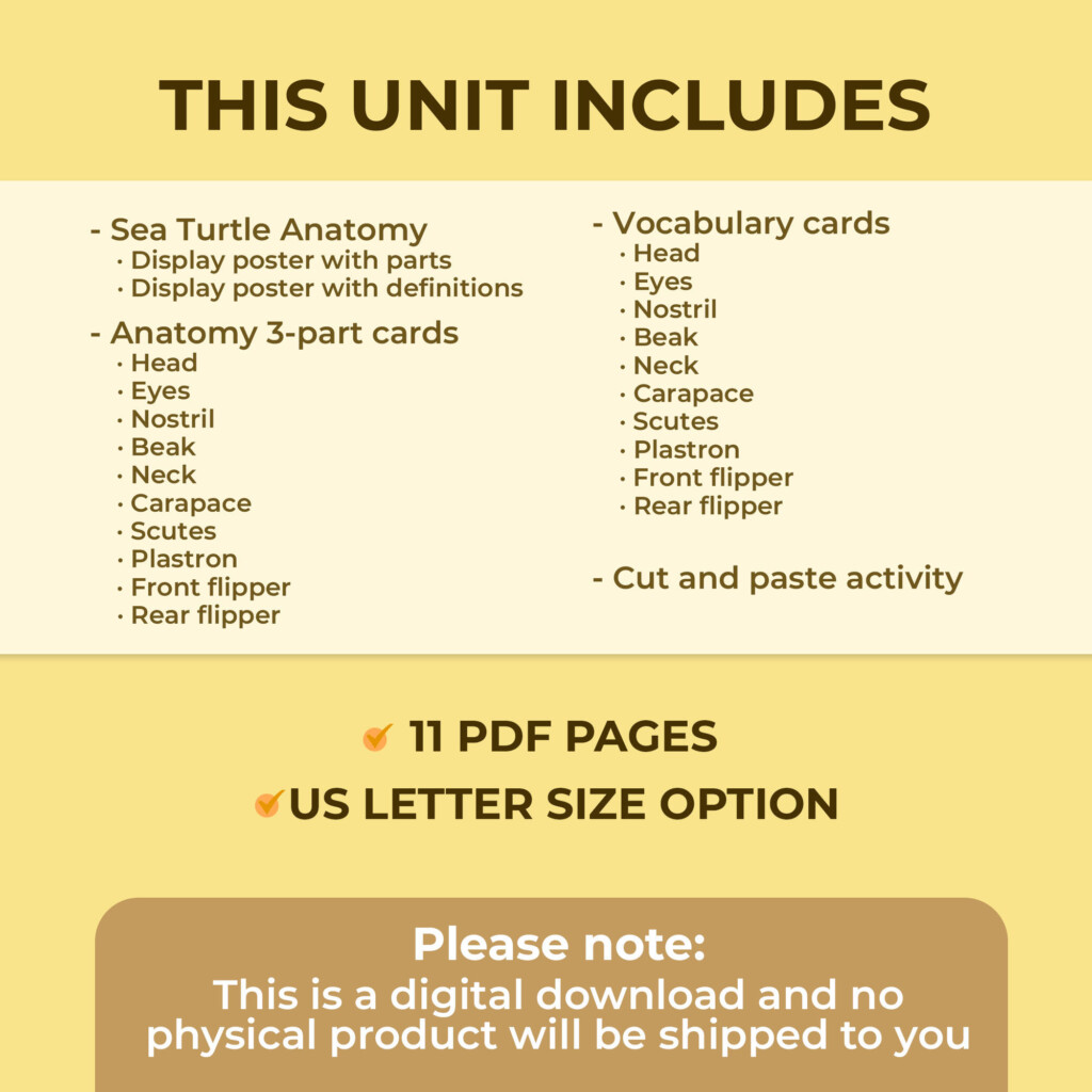 Sea Turtles Anatomy Unit Study | Montessori Unit Study
