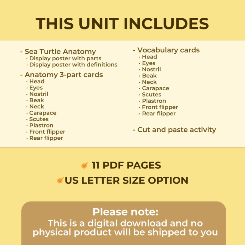 Sea Turtles Anatomy Unit Study | Montessori Unit Study
