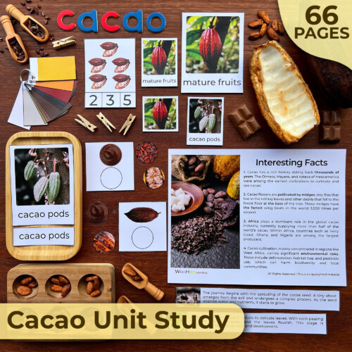 Cacao Unit Study | Chocolate Activity Bundle | Montessori Unit Study