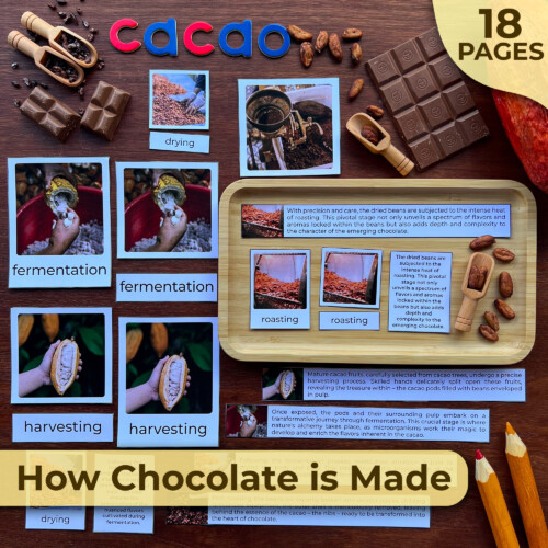 How Chocolate is Made | Chocolate Unit Study | Montessori Unit Study