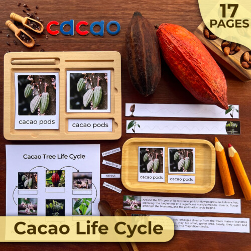Cacao Tree Life Cycle Unit Study | Chocolate Fruit Life Cycle | Montessori Unit Study